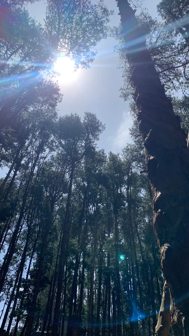Photograph by Jitendra Nirnejak