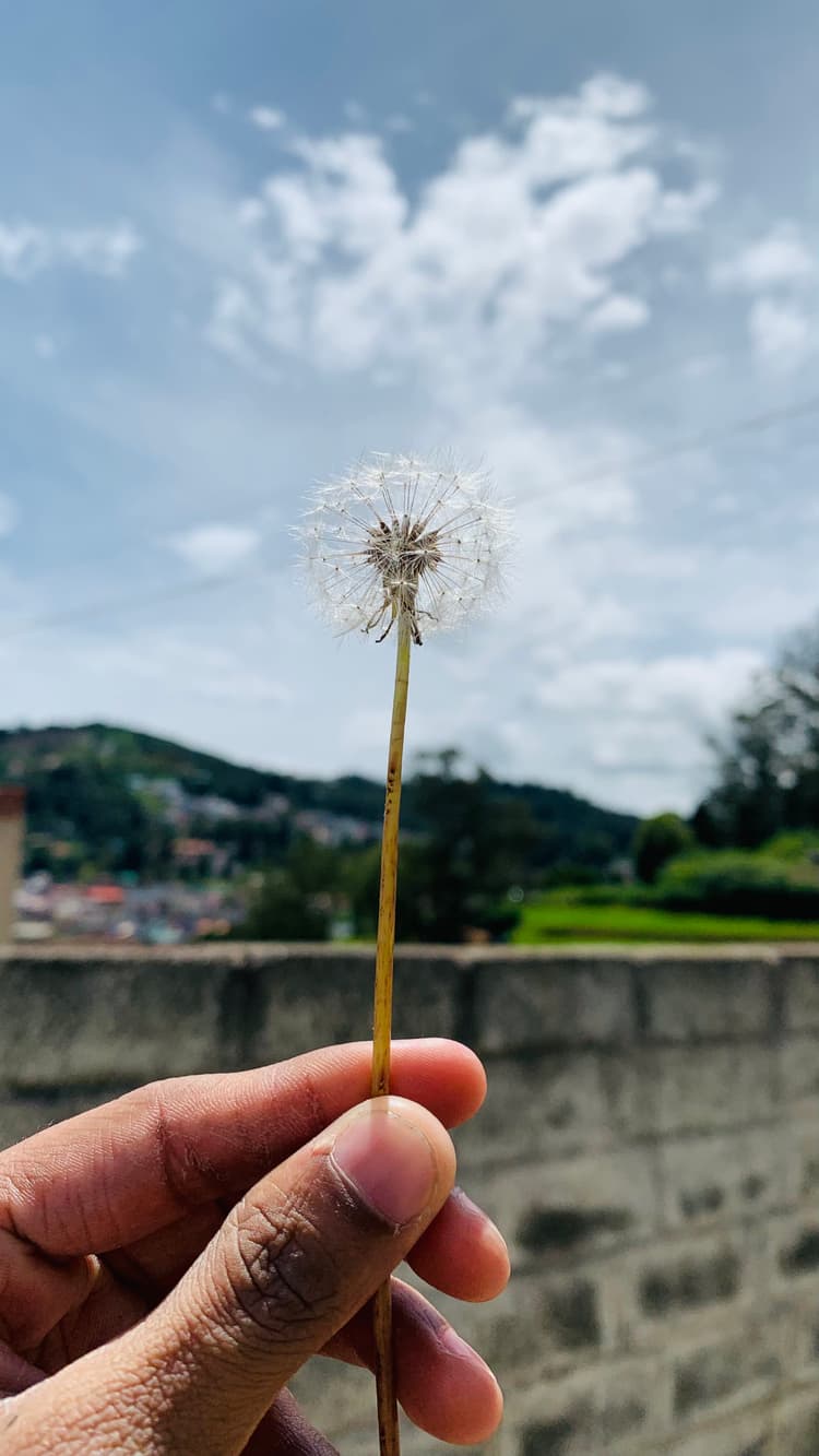 Photograph by Jitendra Nirnejak