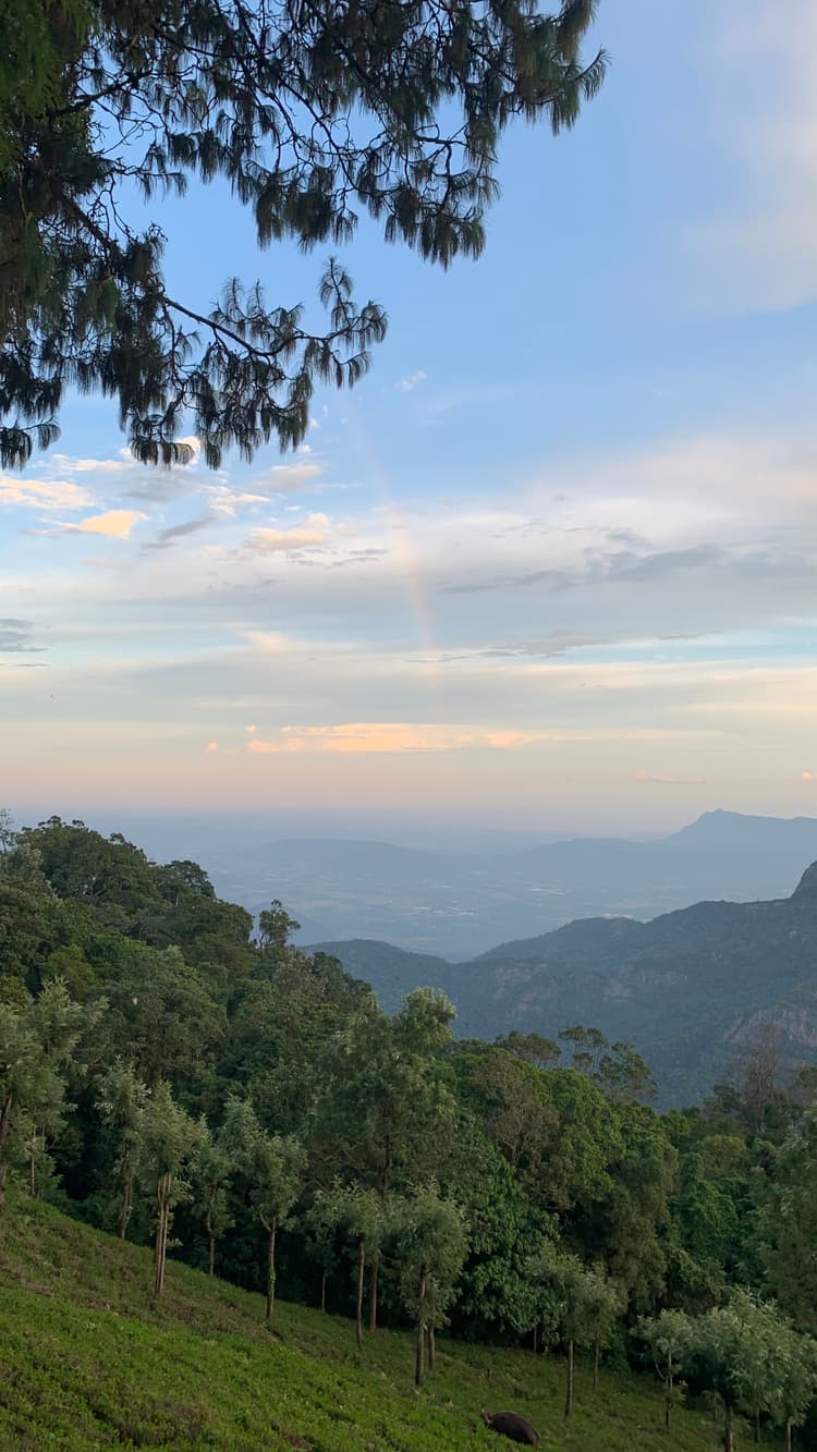 Photograph by Jitendra Nirnejak