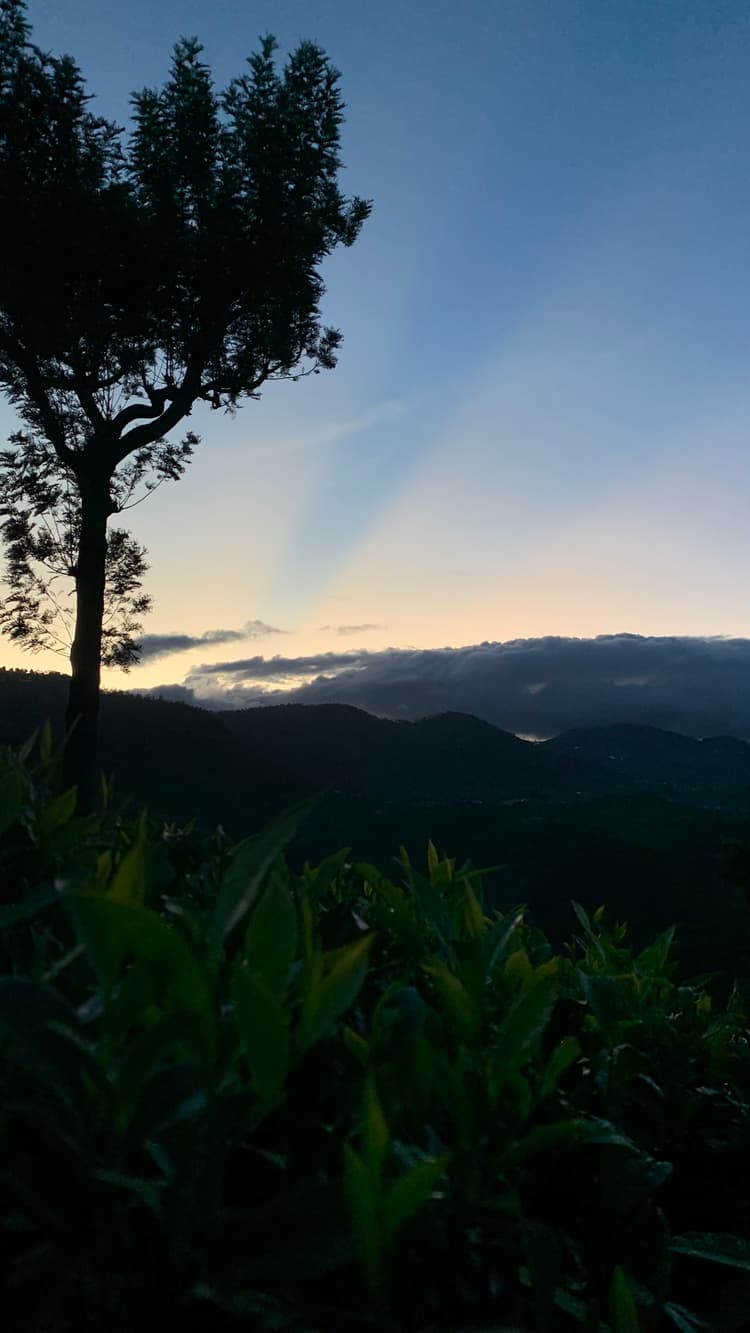 Photograph by Jitendra Nirnejak
