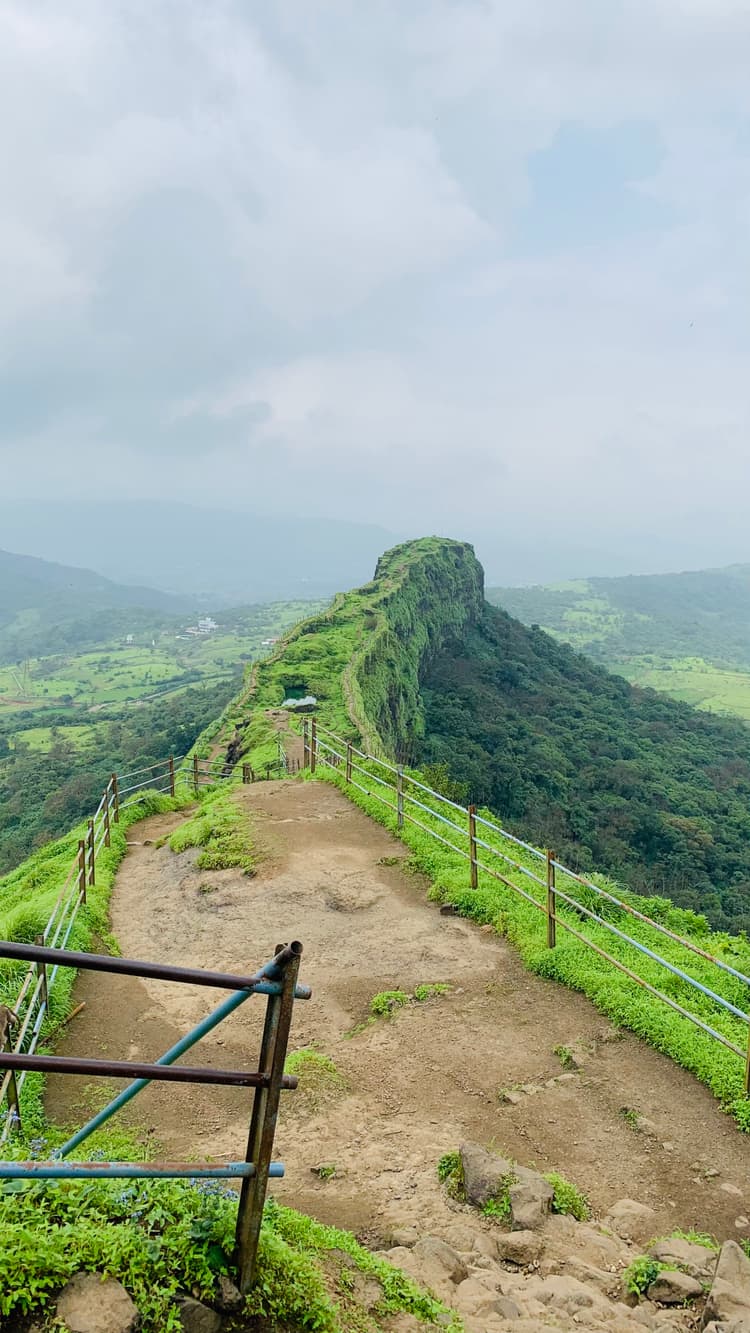 Photograph by Jitendra Nirnejak