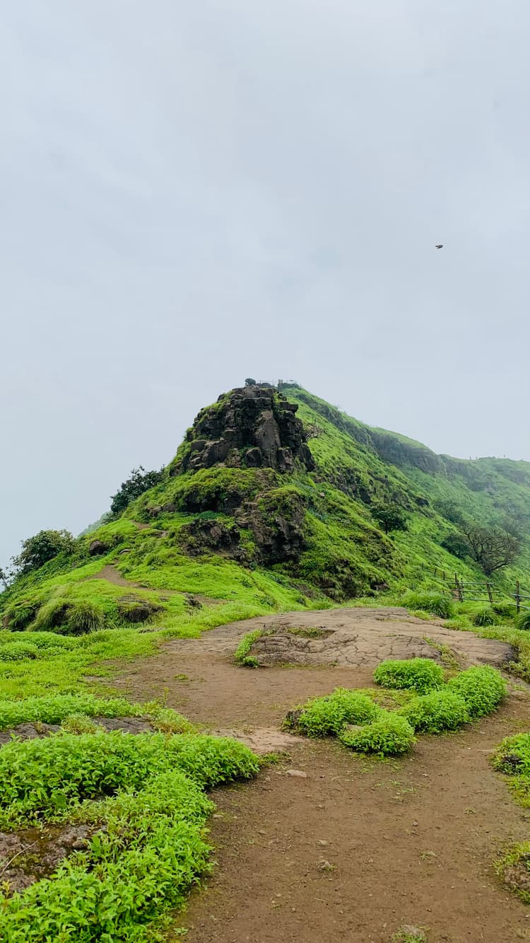 Photograph by Jitendra Nirnejak