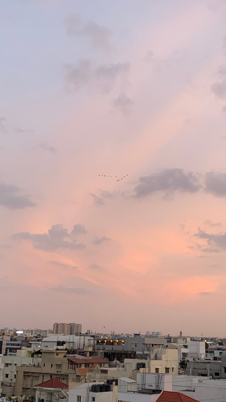 Photograph by Jitendra Nirnejak